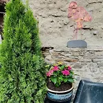 아파트 Dein Haus Am Rhein