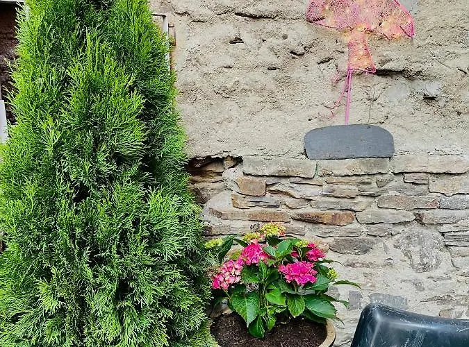 Apartman Dein Haus Am Rhein